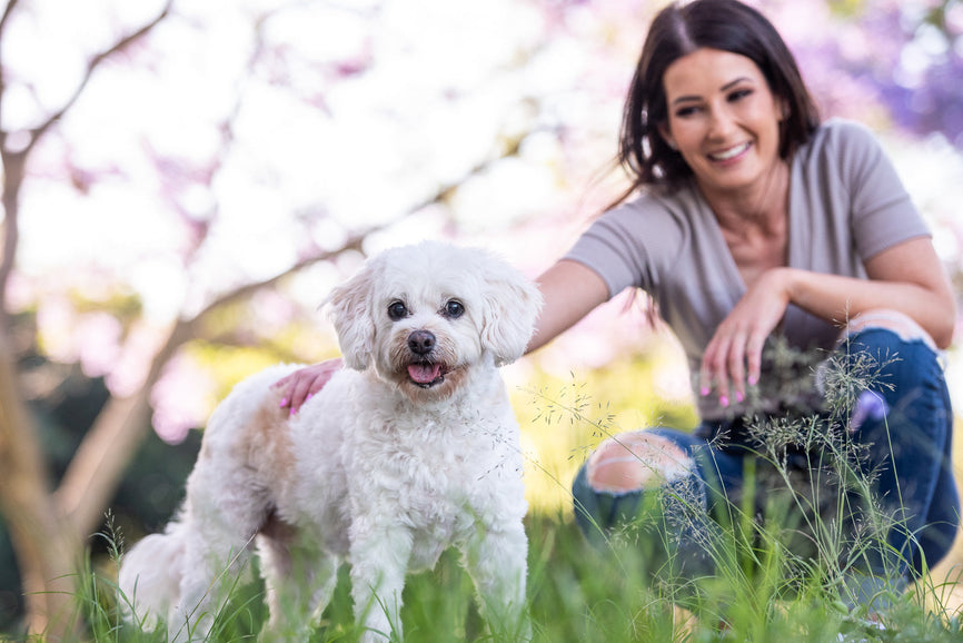 Oops! My Dog Ate It (Returns)