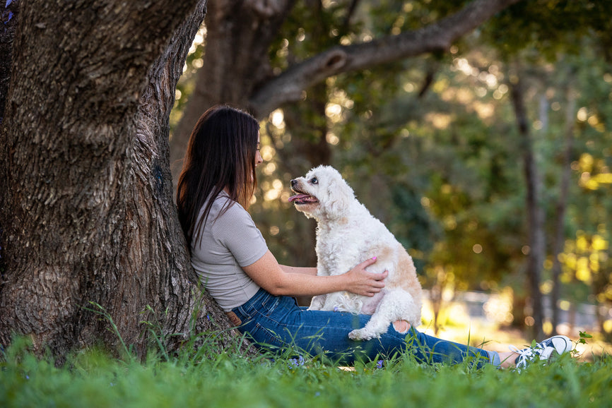The story behind the name "Dementia Doggo"