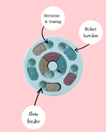 Bella’s Brain Game (Interactive Feeder)