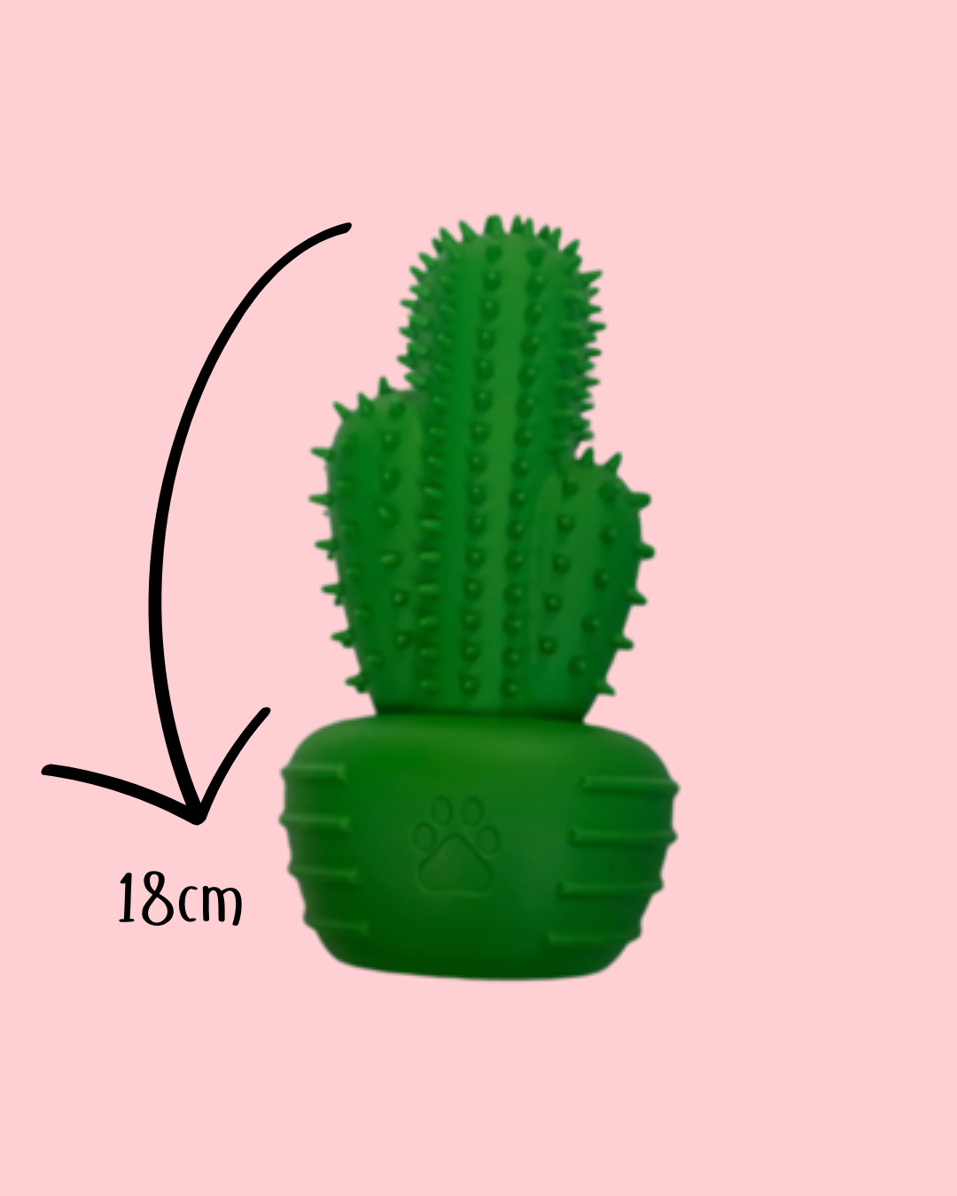 Can’t Touch This Cactus Toy