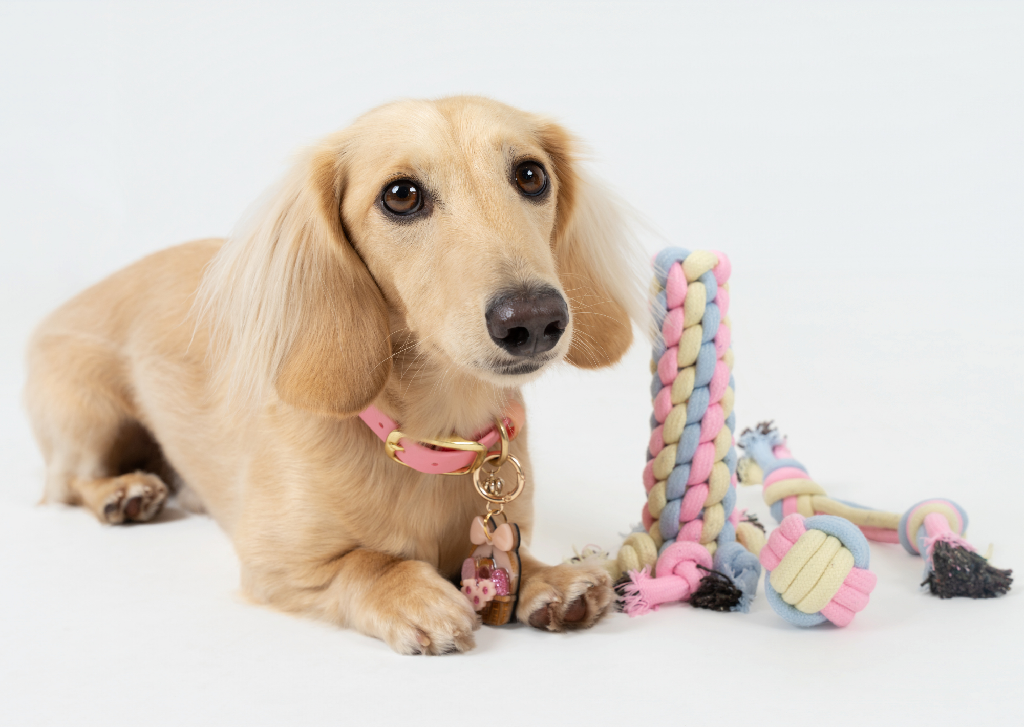 Pastel Chew Toy (Set of 4)
