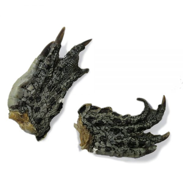 Crocodile Feet (Single natural treat 50g)