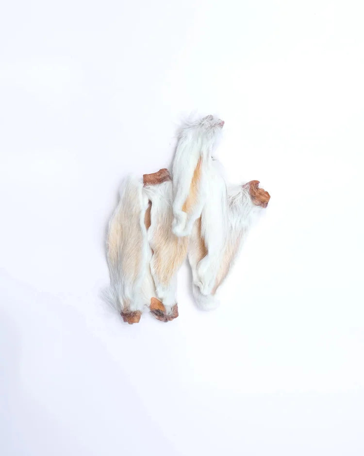 Rabbit Ears with fur (single natural Treat)