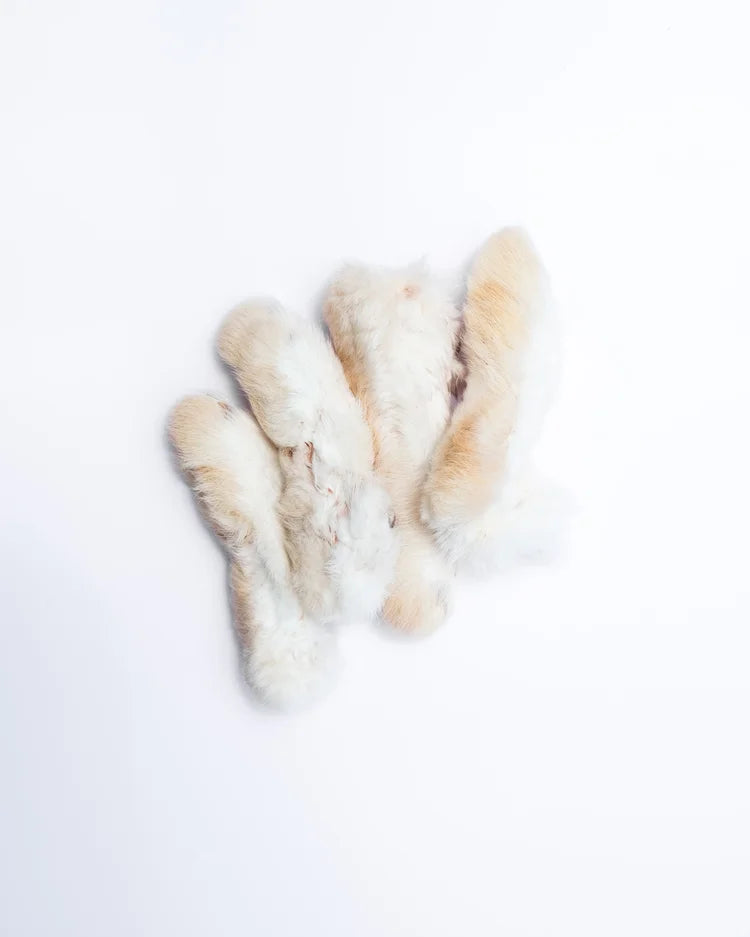 Rabbit feet with fur (Single Natural Treat)
