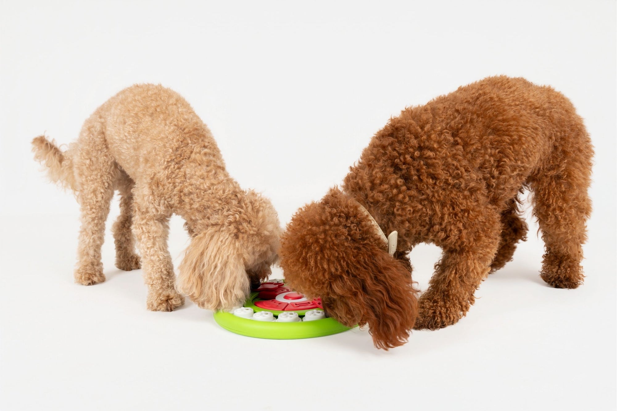 Pawperoni Puzzle (Interactive Feeder)