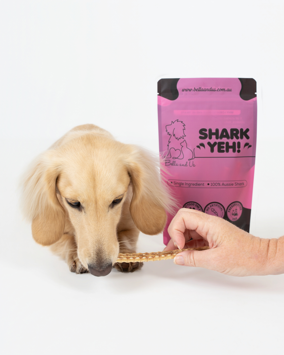 Shark Yeh! 100g